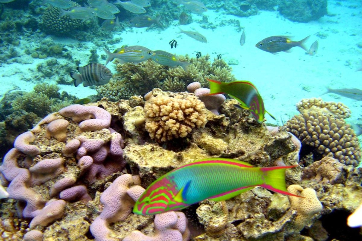 Sanctuary Rarotonga On The Beach - Hotel Photo 10