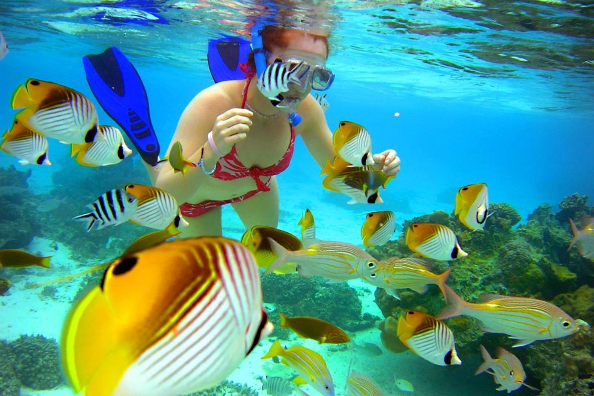 Sanctuary Rarotonga On The Beach - Hotel Photo 27