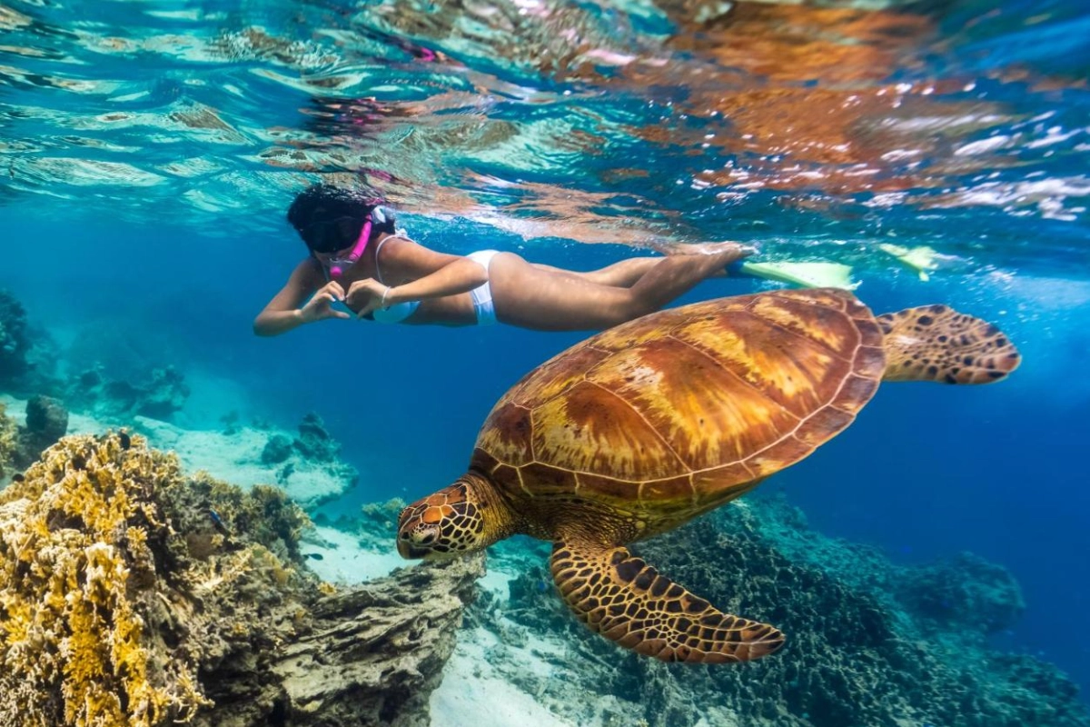 Sanctuary Rarotonga On The Beach - Hotel Photo 28