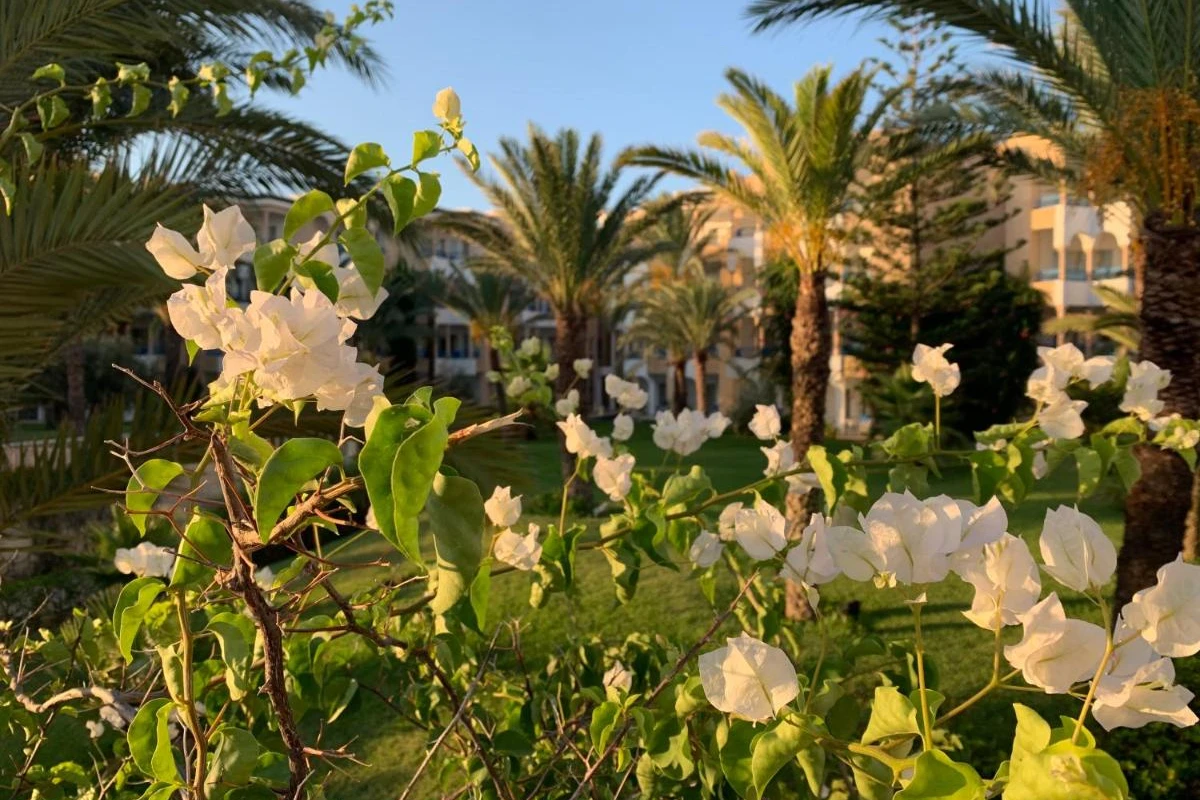 Hasdrubal Thalassa & Spa Yasmine Hammamet - Hotel Photo 45