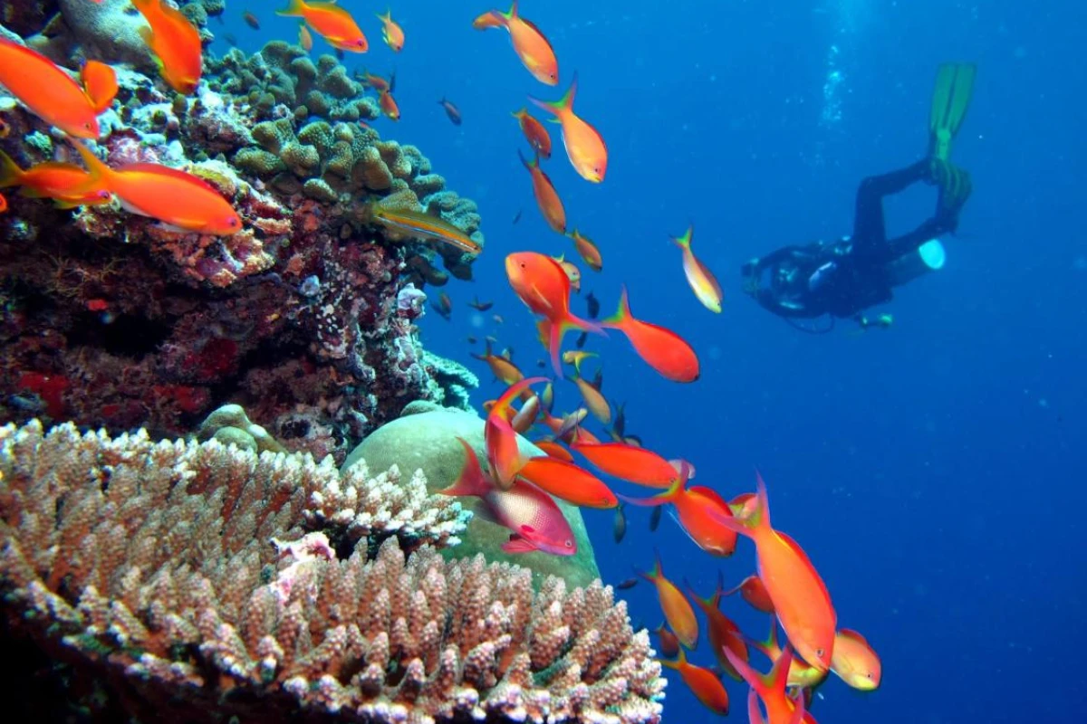 Kandima Maldives - Hotel Photo 35