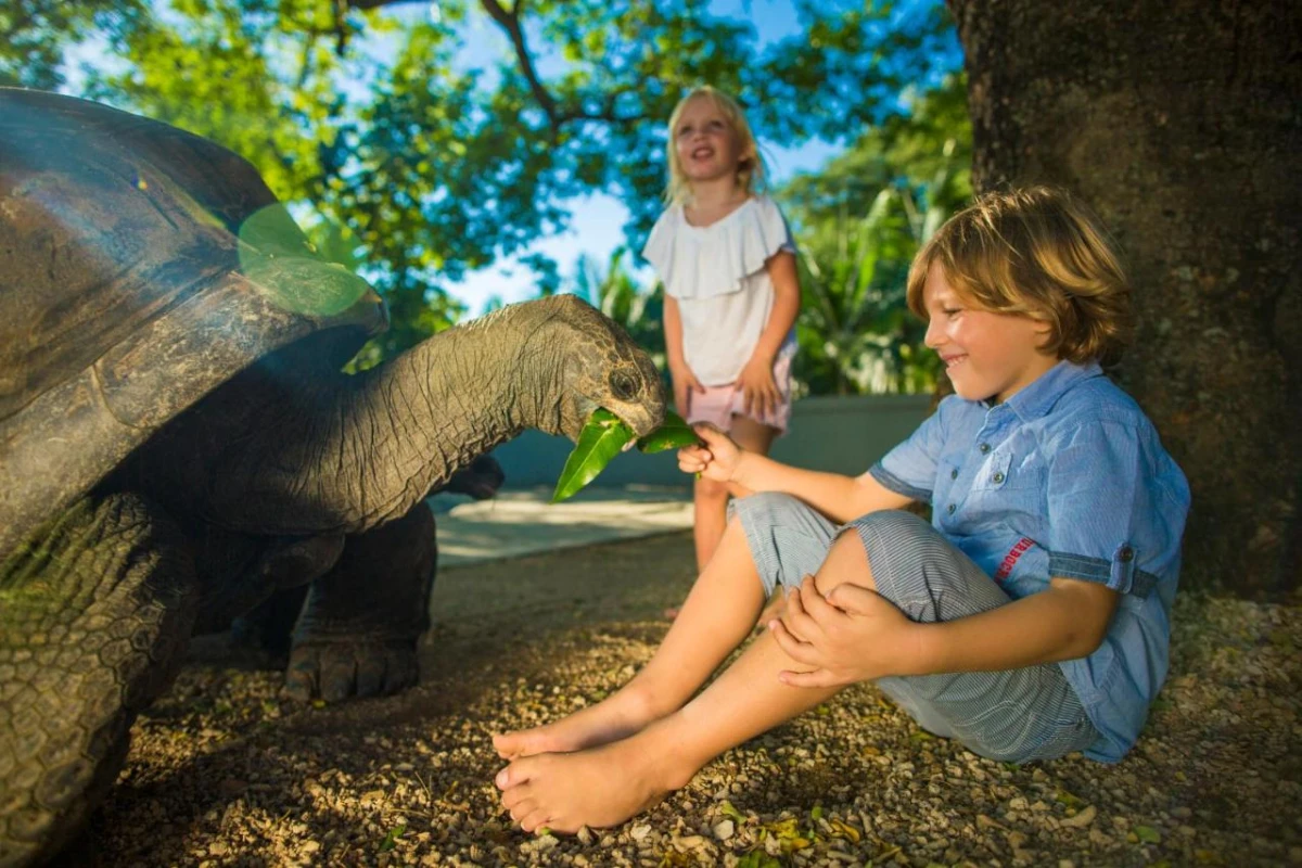 Maritim Resort & Spa Mauritius - Hotel Photo 49
