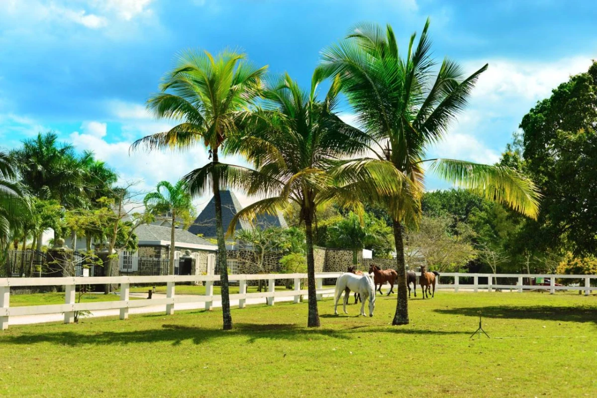 Maritim Resort & Spa Mauritius - Hotel Photo 55