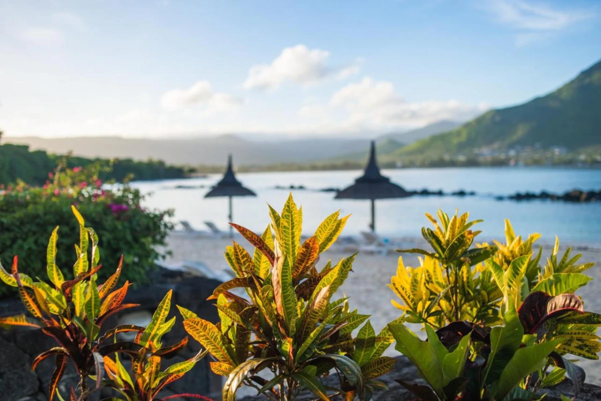 Sands Suites Resort & Spa - Hotel Photo 18