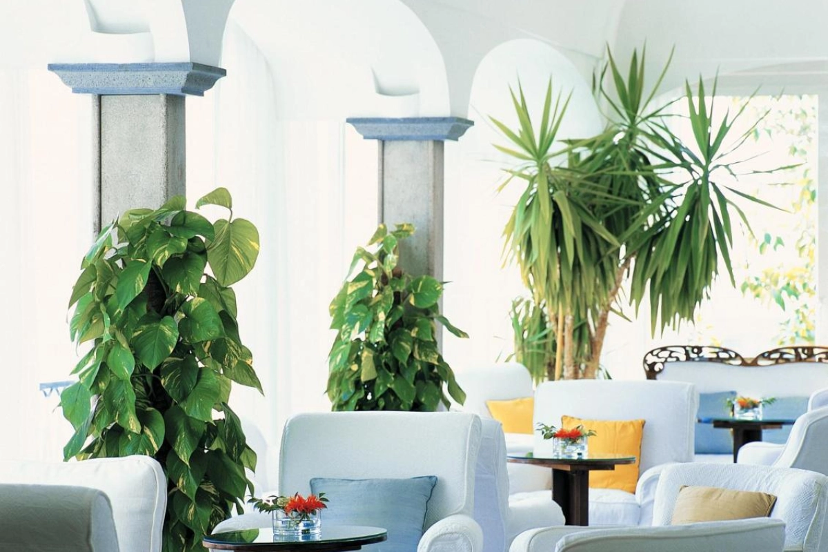 Santa Caterina Hotel - Hotel Photo 21