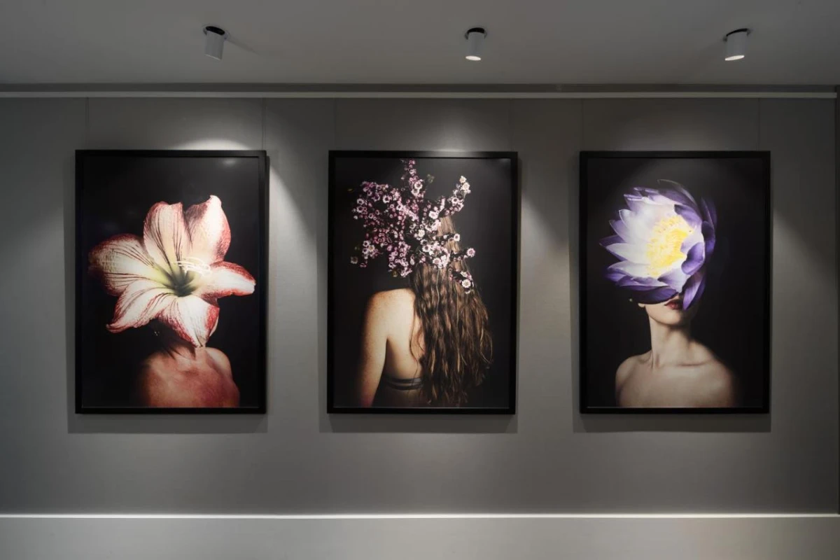 Bailey A Crystalbrook Collection Hotel - Hotel Photo 74