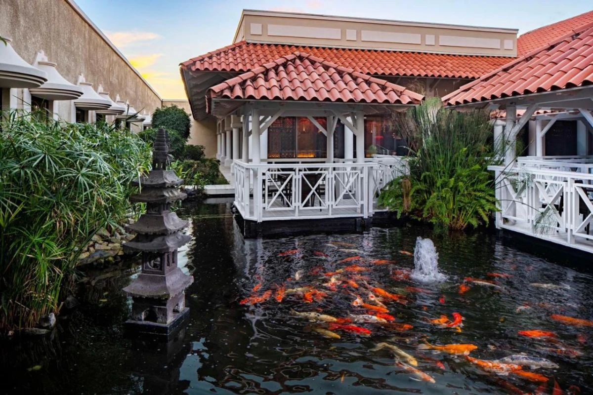 Hyatt Regency Grand Reserve Puerto Rico - Hotel Photo 52