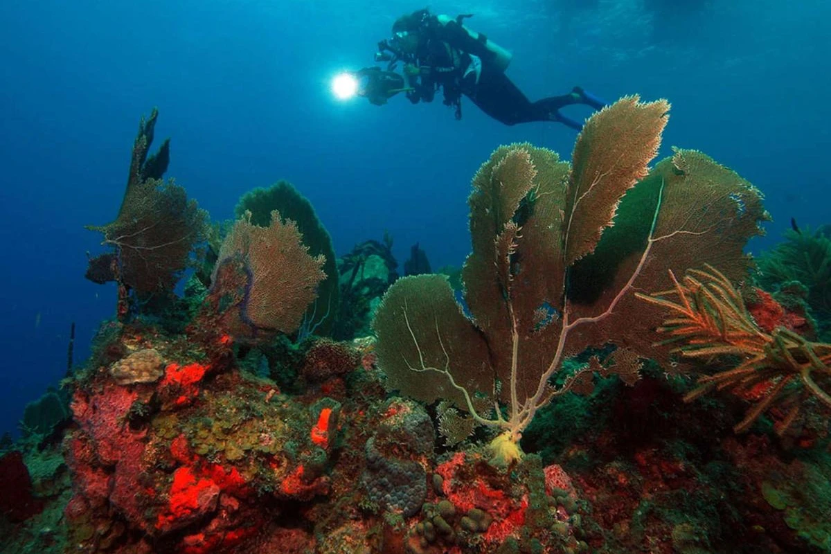 Oualie Beach Resort - Hotel Photo 8