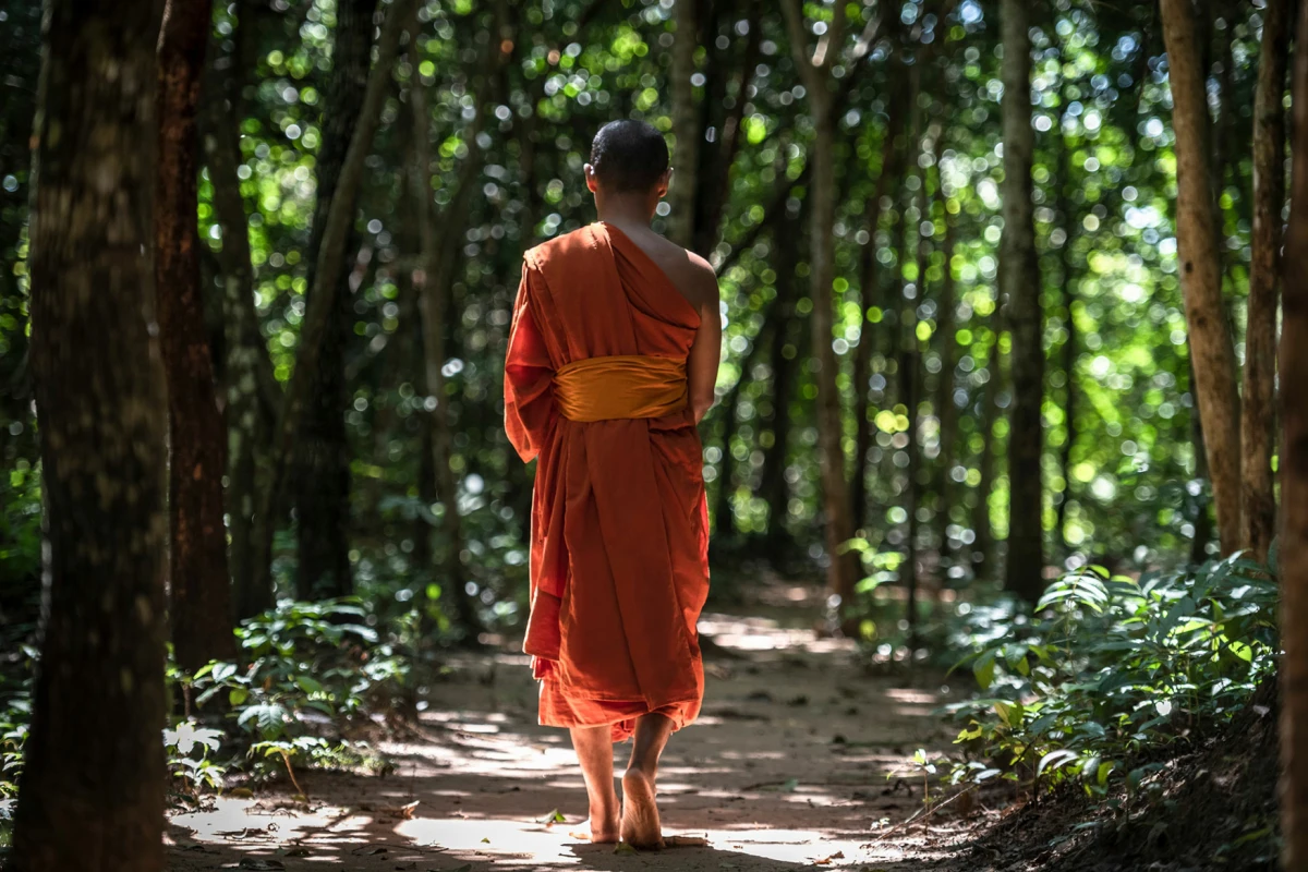 Amansara - Hotel Photo 15