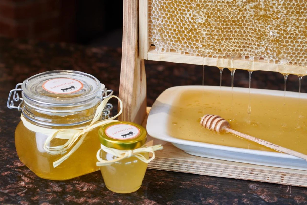 Regent Warsaw Hotel - Hotel Photo 20