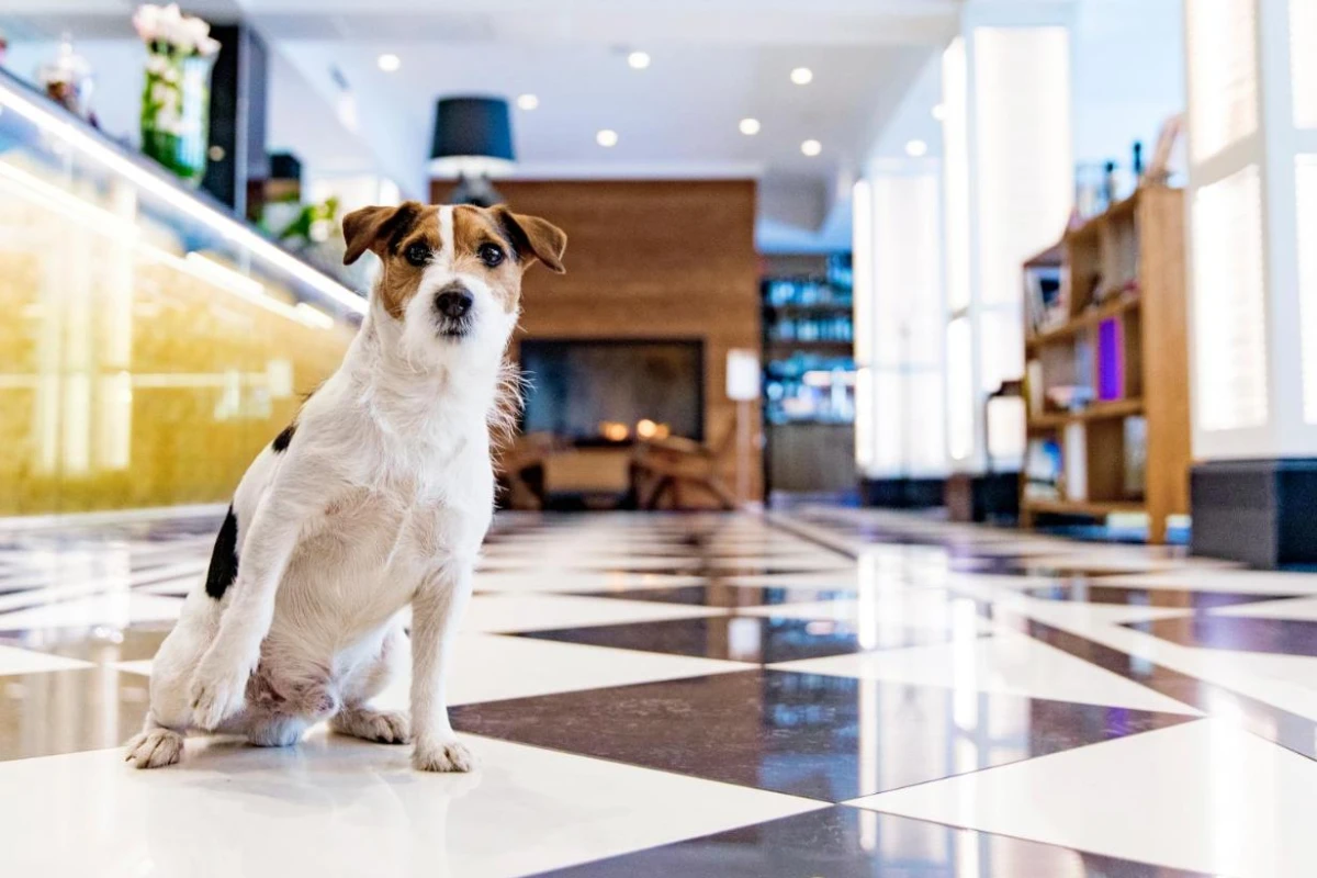 Hotel Lilla Roberts - Hotel Photo 12