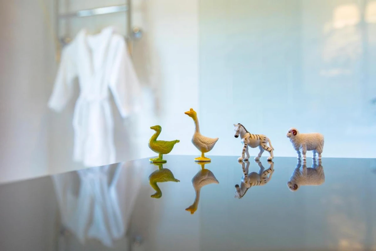 Hotel Lilla Roberts - Hotel Photo 18