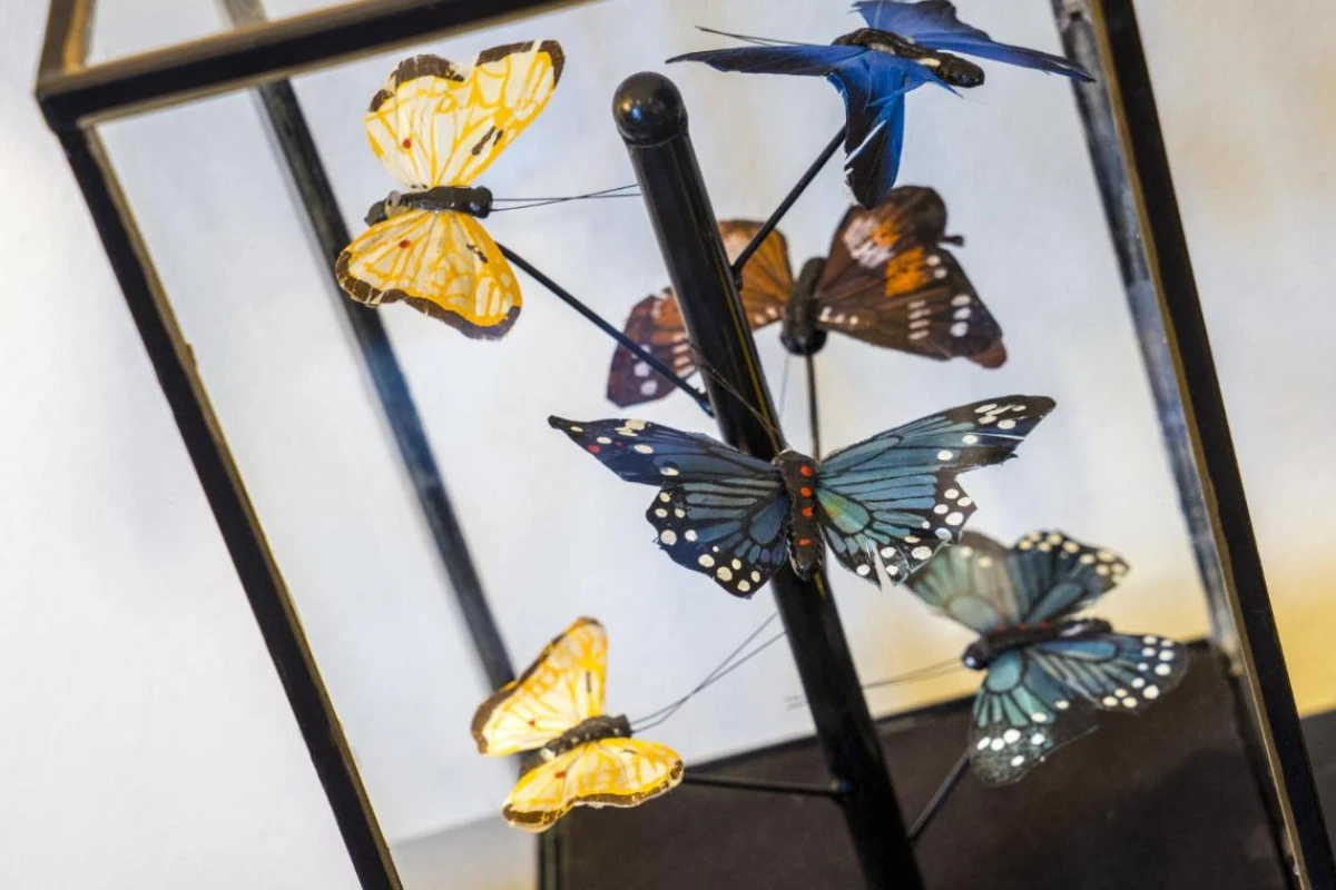 Hotel Lilla Roberts - Hotel Photo 39