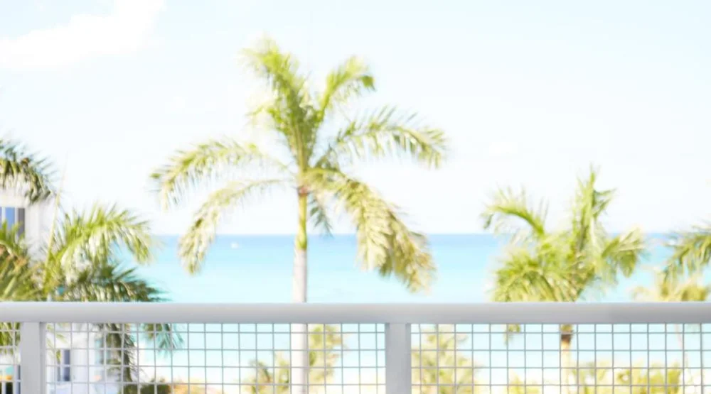 Junior Suite with Ocean View at Palm Heights