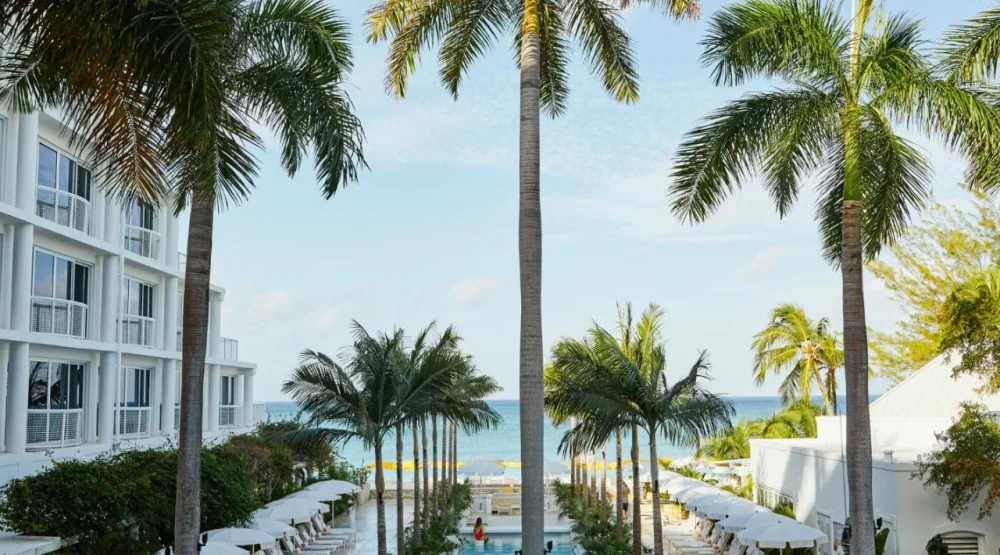 Junior Suite with Terrace at Palm Heights