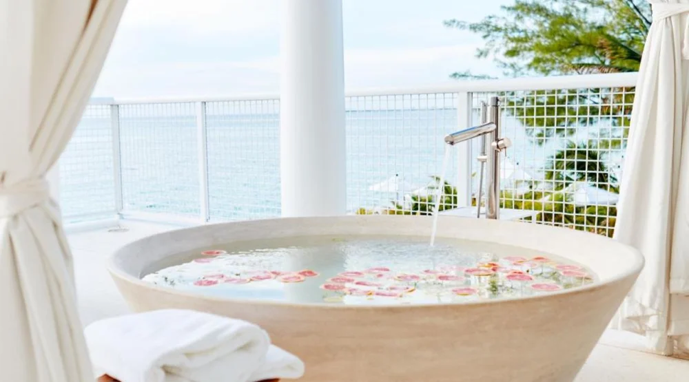 Presidential Suite at Palm Heights