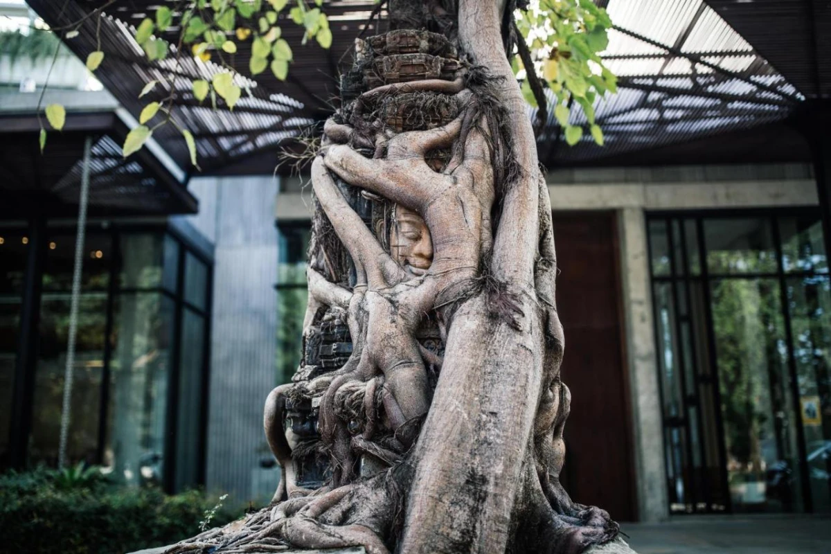 Treeline Urban Resort - Hotel Photo 11