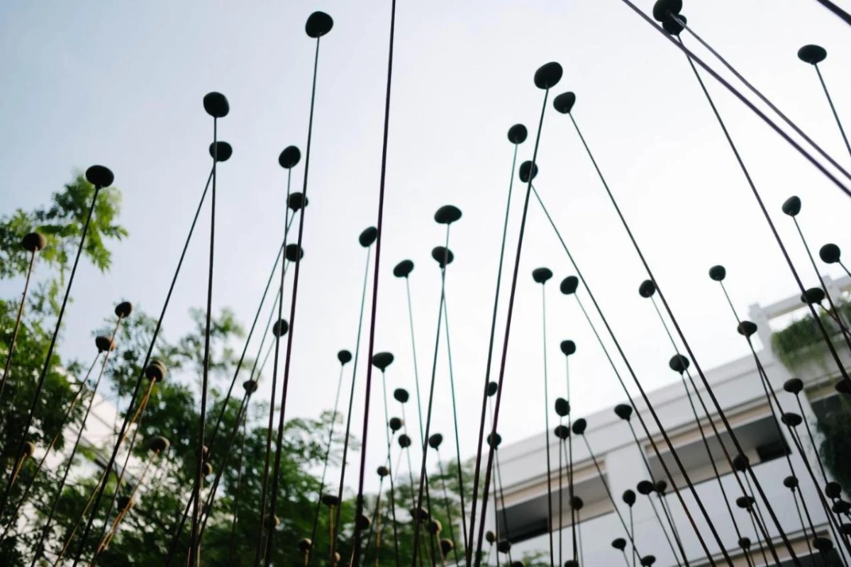 Treeline Urban Resort - Hotel Photo 14