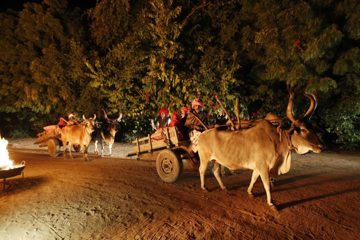 Rawla Narlai - Hotel Photo 20