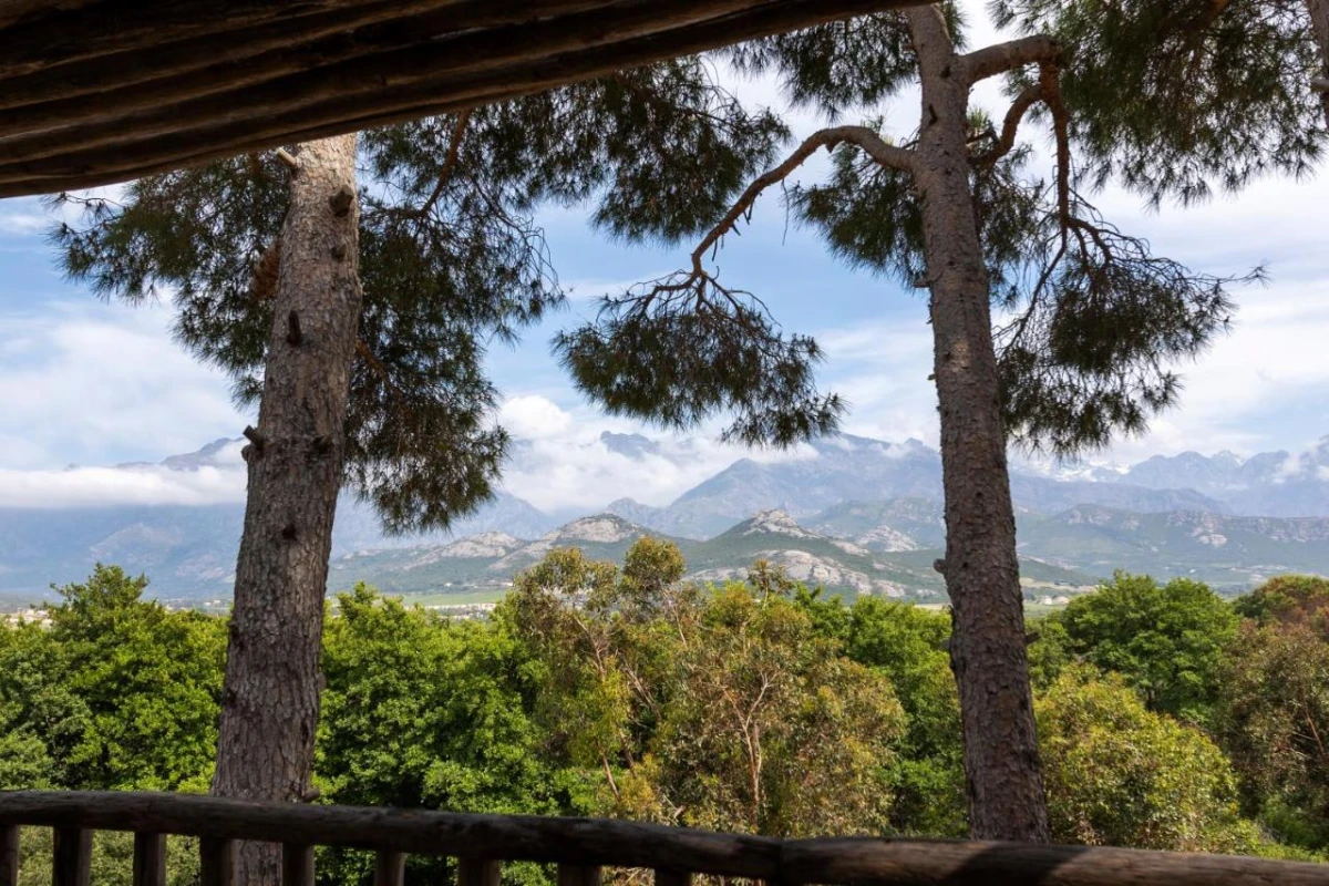 La Signoria - Hotel Photo 45