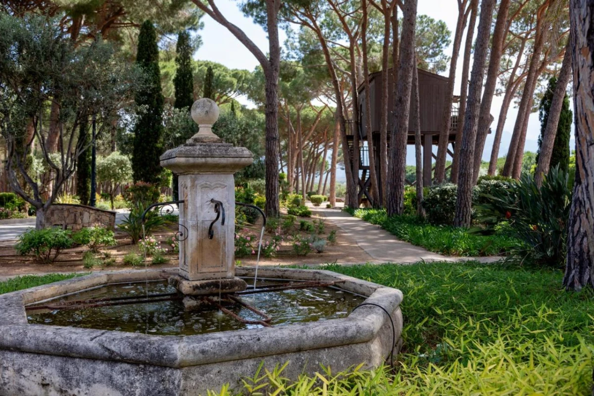 La Signoria - Hotel Photo 48