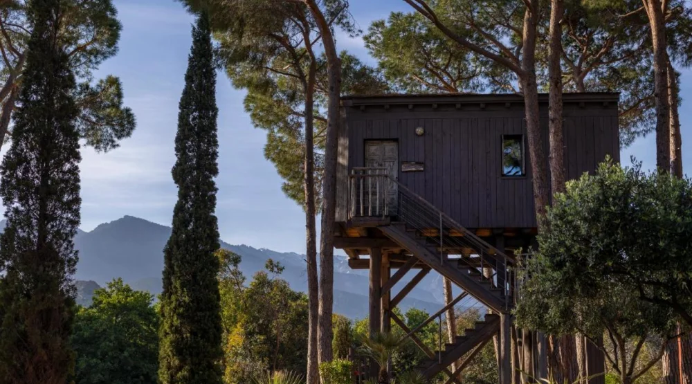 Tree  House at La Signoria