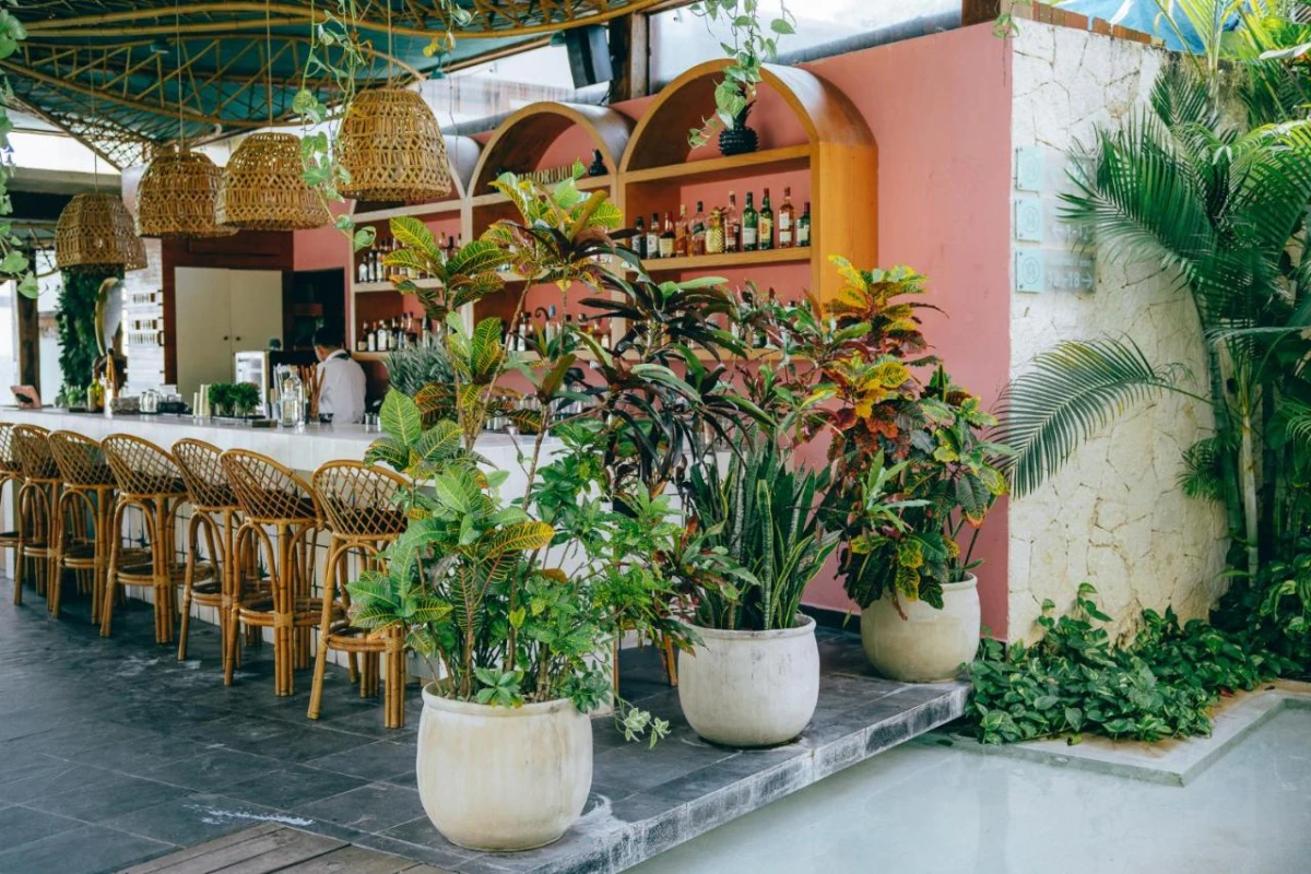 Mi Amor Boutique Hotel & Spa - Hotel Photo 13