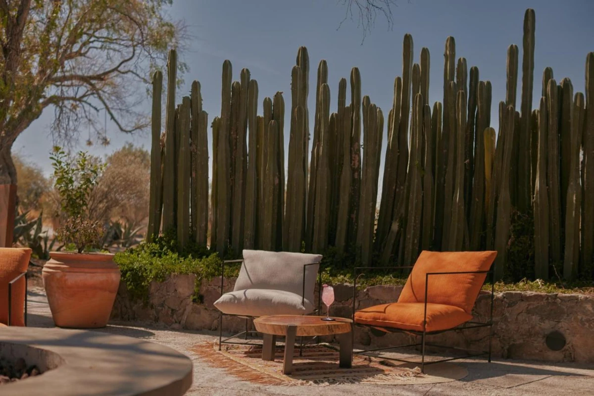 Our Habitas San Miguel - Hotel Photo 22