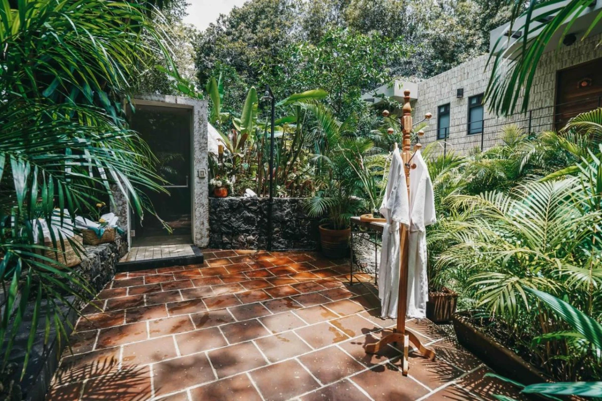 Hotel Amomoxtli - Hotel Photo 10