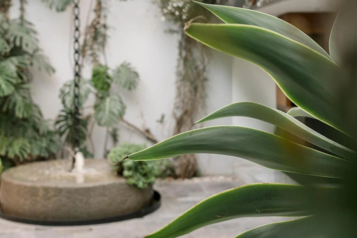 Matilda Hotel - Hotel Photo 25