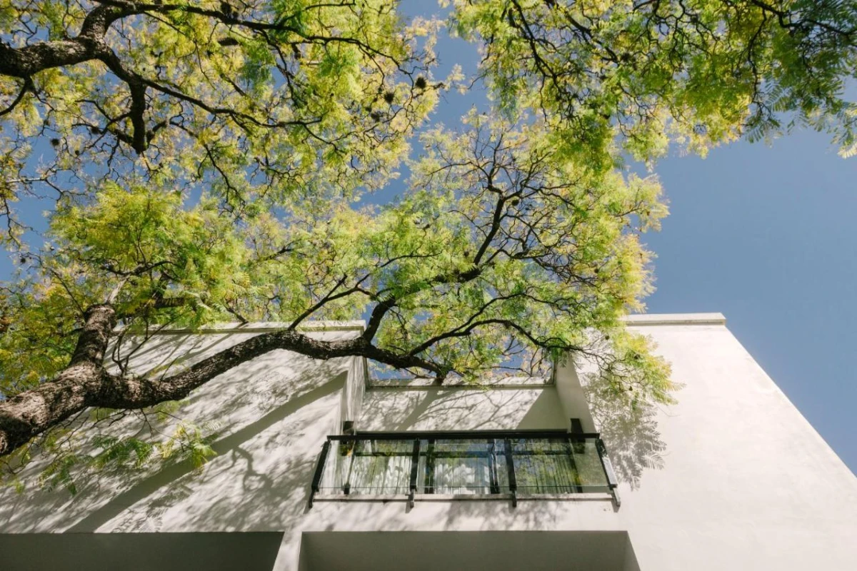 Matilda Hotel - Hotel Photo 40