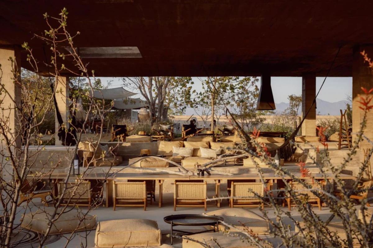 Paradero Todos Santos - Hotel Photo 10