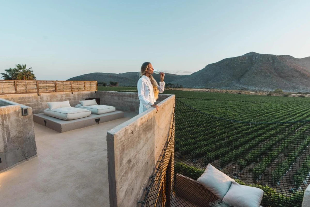 Paradero Todos Santos - Hotel Photo 17