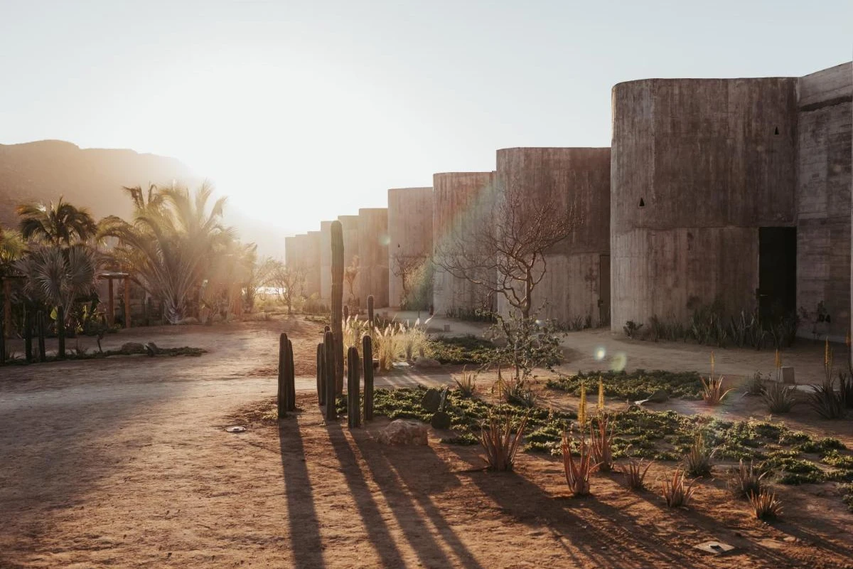 Paradero Todos Santos - Hotel Photo 22