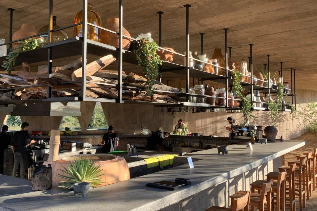 Paradero Todos Santos - Hotel Photo 39