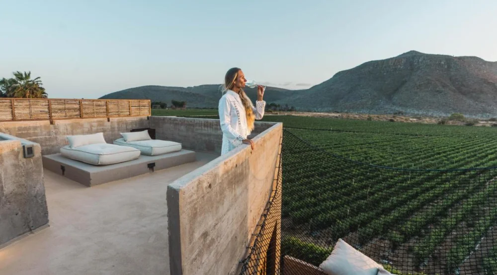 Mountain Sky Suite - One King Bed at Paradero Todos Santos