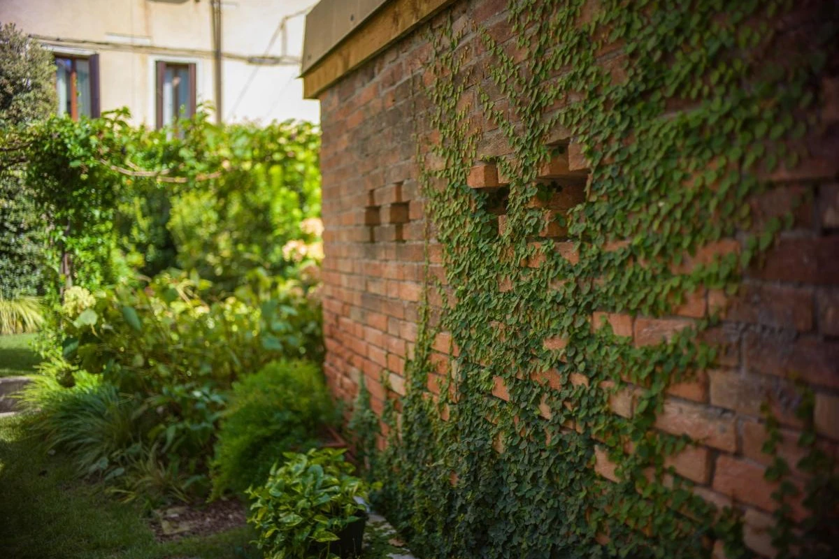 Madama Garden Retreat - Hotel Photo 33