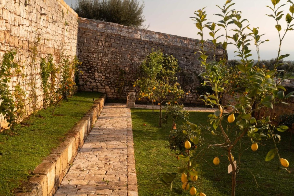 Masseria Auraterrae - Hotel Photo 19