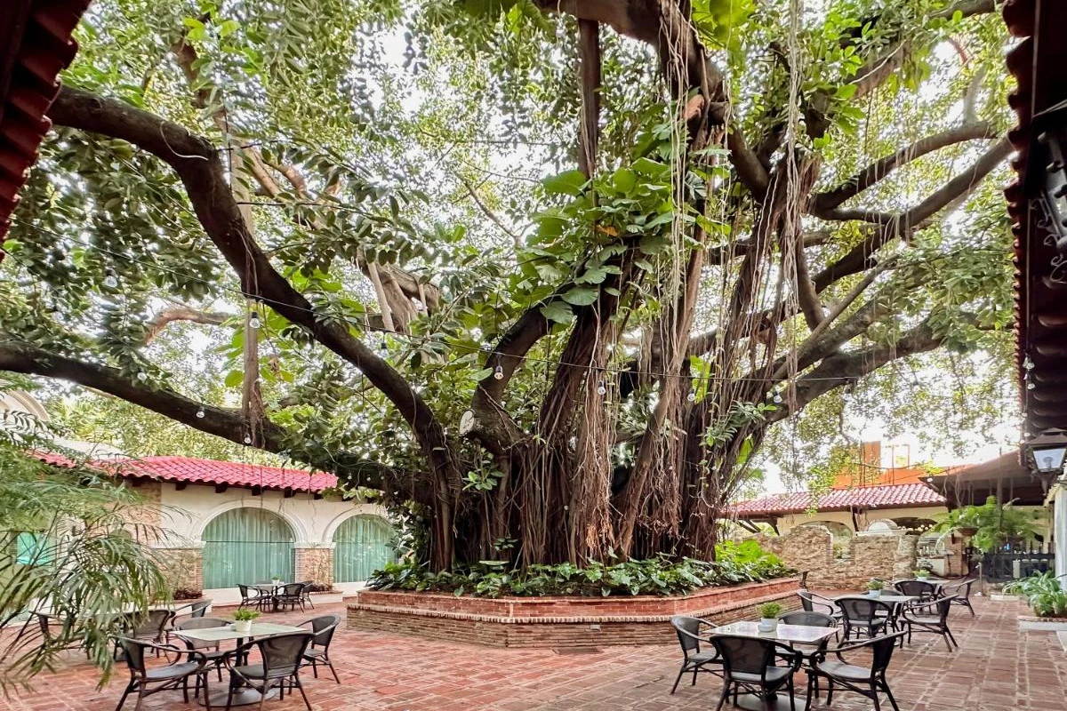 El Embajador a Royal Hideaway Hotel - Hotel Photo 24