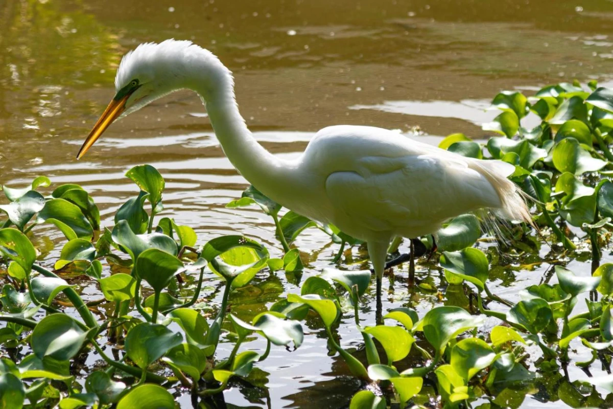 Grand Bavaro Princess - Hotel Photo 20