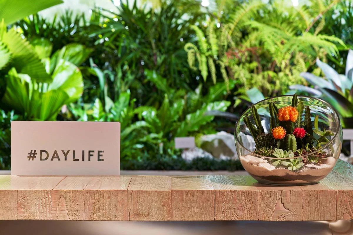 1 Hotel South Beach - Hotel Photo 11