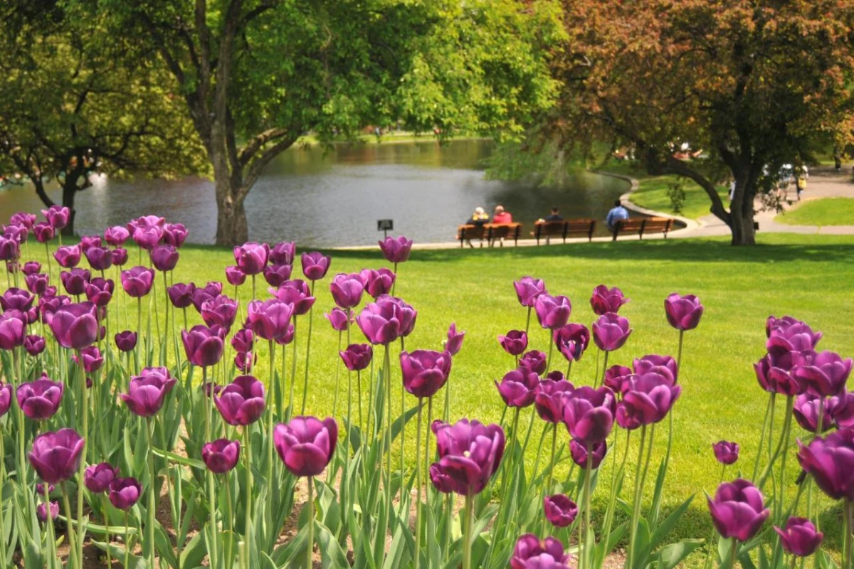 Mandarin Oriental Boston - Hotel Photo 16