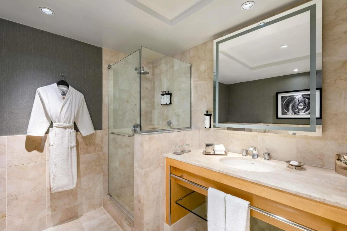 Sofitel Chicago Magnificent Mile - Hotel Photo 6