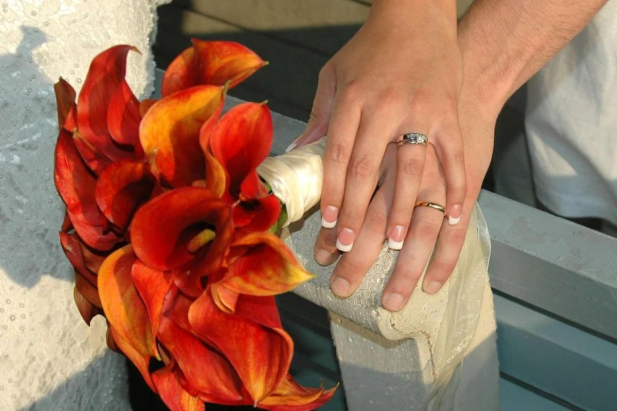 Homewood Suites By Hilton Columbus - Hotel Photo 4