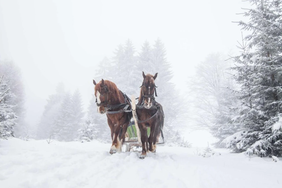 Waldorf Astoria Park City - Hotel Photo 12