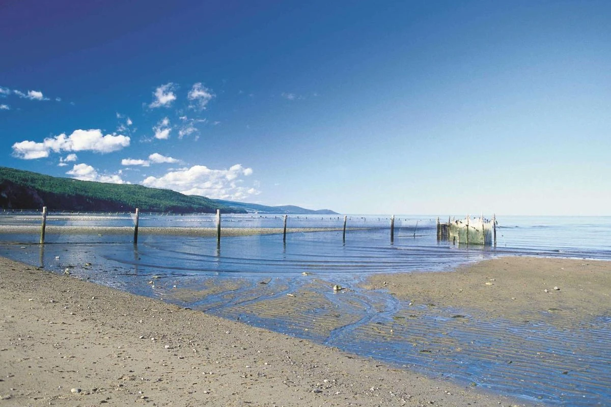 Fairmont Le Manoir Richelieu - Hotel Photo 27