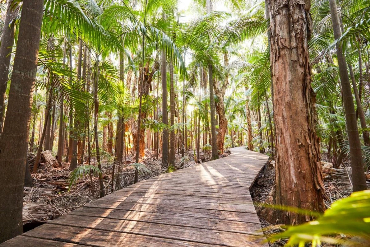 Crystalbrook Byron - Hotel Photo 15