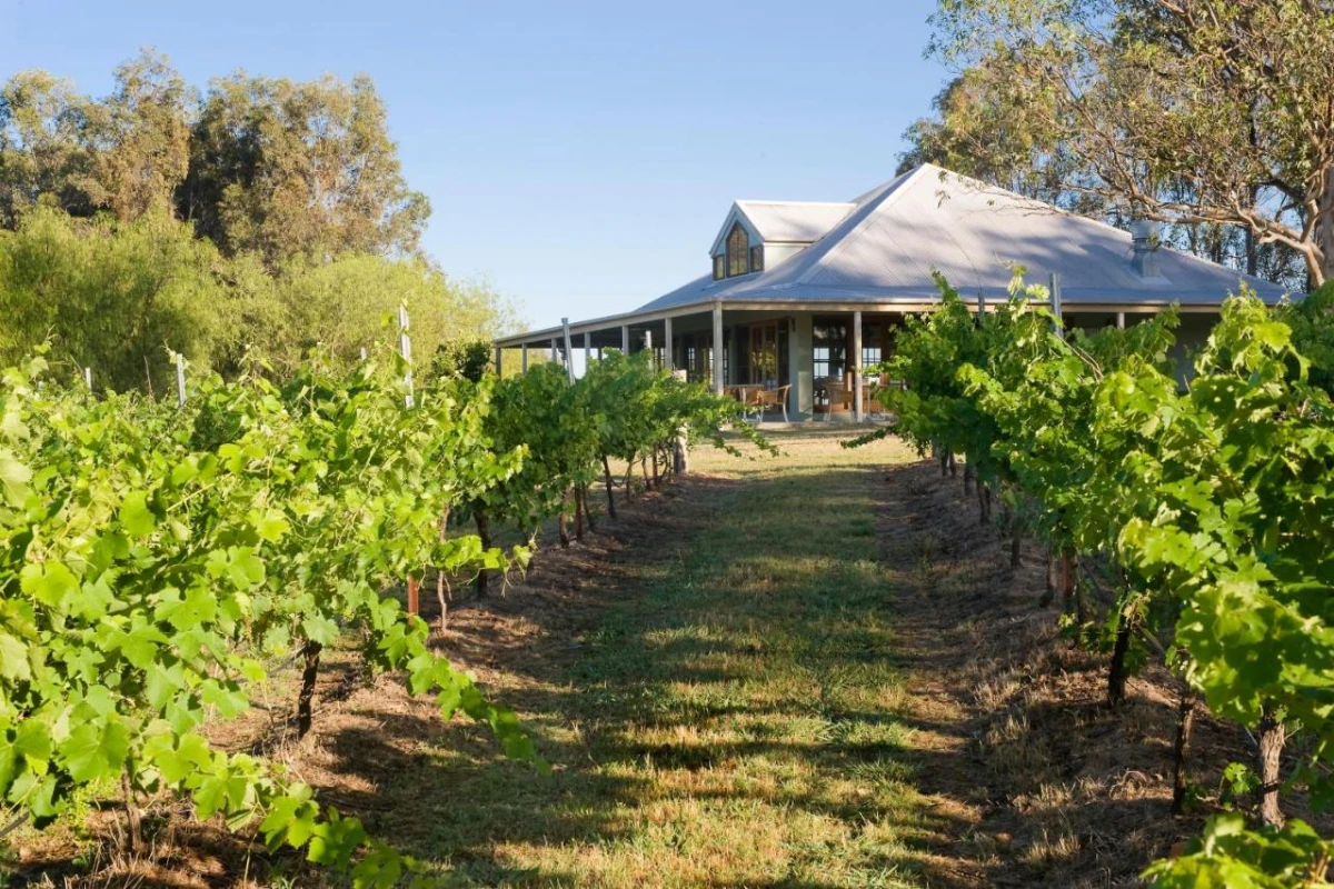 Spicers Vineyards Estate - Hotel Photo 19