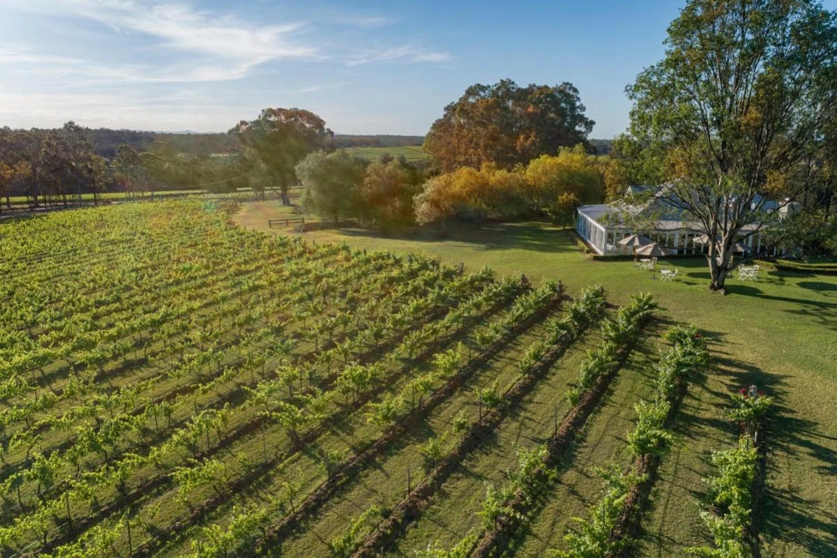 Spicers Vineyards Estate - Hotel Photo 28