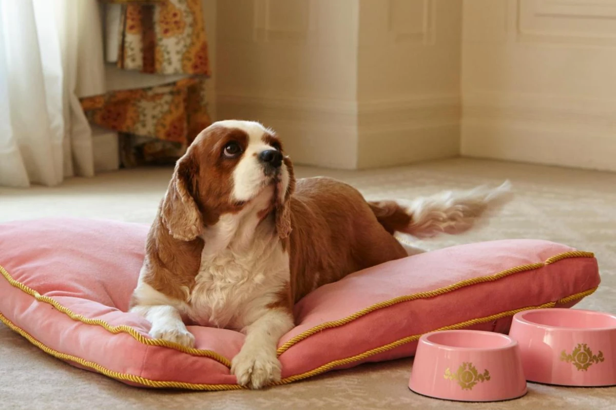 The Langham Sydney - Hotel Photo 23